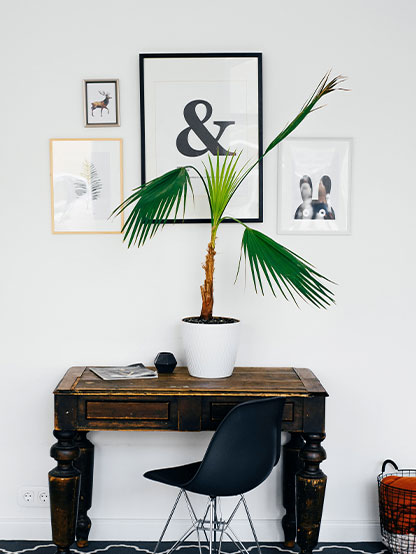 A desk with a plant on top and photos on the wall inside L and O apartments